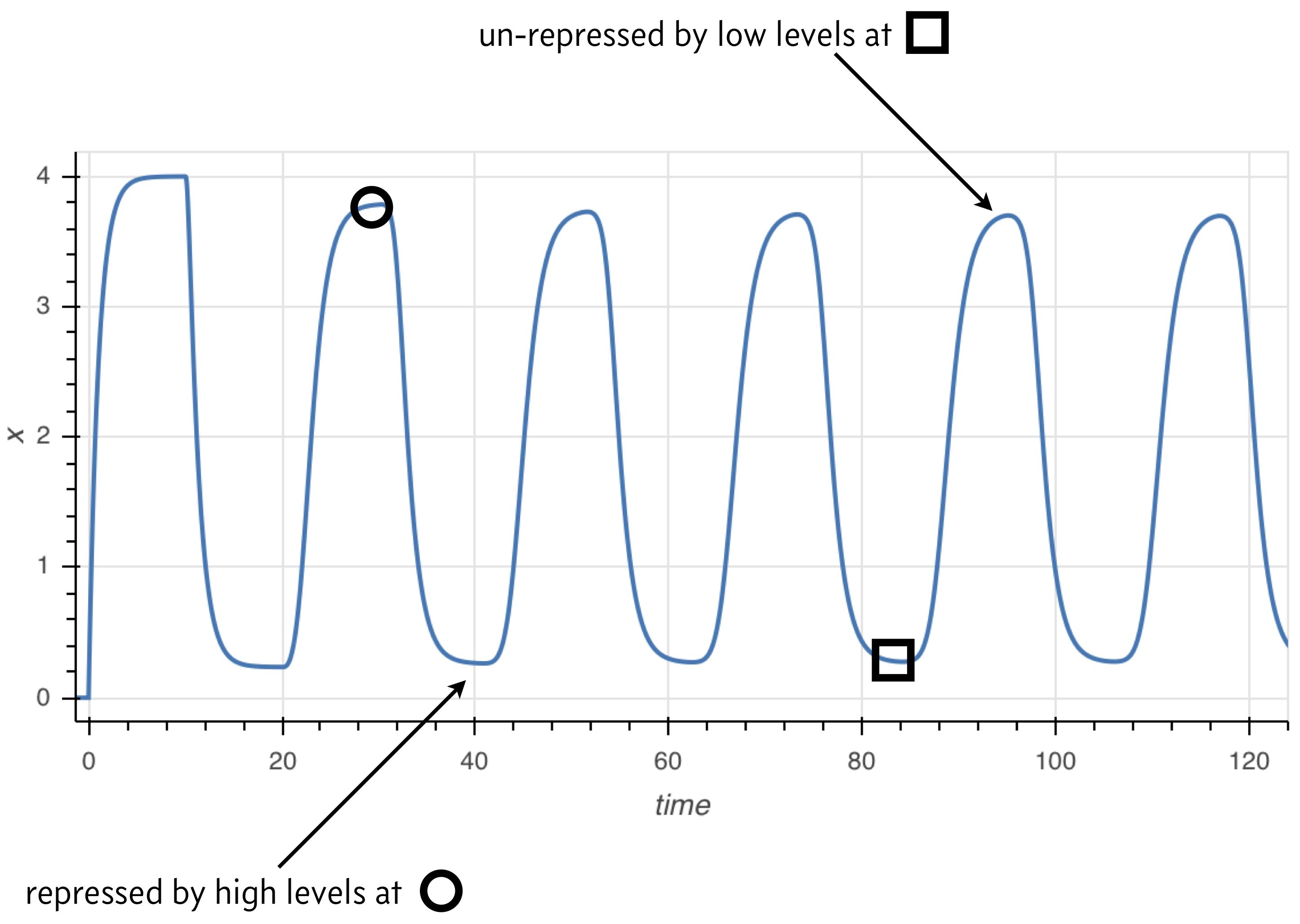 delay oscillations