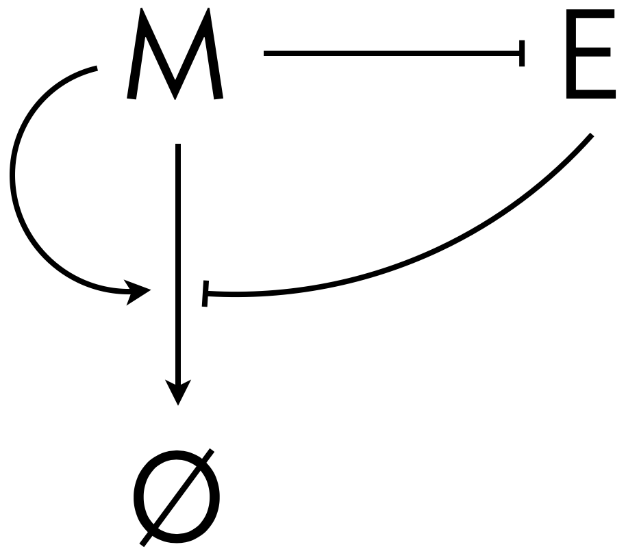 expander