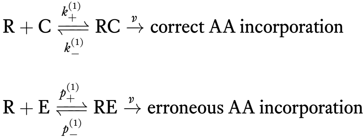simple amino acid production with errors