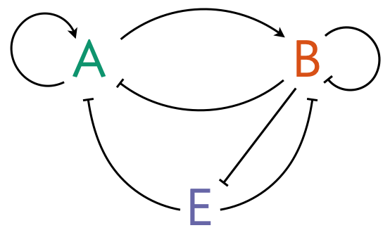 Werner Turing circuit